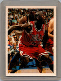 1995-96 Topps #277 Michael Jordan